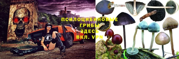 эйфоретик Михайлов