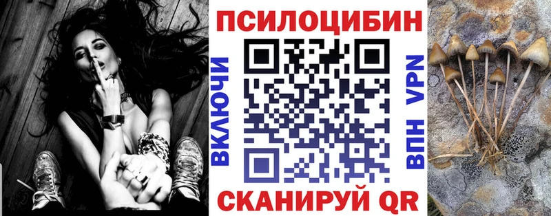 Псилоцибиновые грибы GOLDEN TEACHER Купить закладки Юхнов